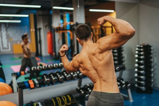 Citrate d'enclomifène pour les athlètes Citrate d'enclomifène pour les athlètes